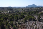 Vil·la amb terreny en venda a la España, Benissa, ref.: TR227074 foto