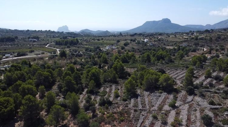 Alicante - Benisa - 33673m2