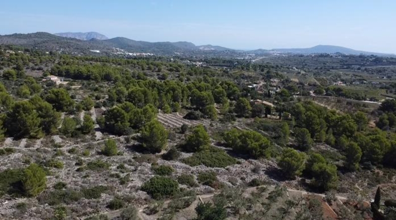 Alicante - Benisa - 33673m2