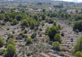 Vil·la amb terreny en venda a la España, Benissa, ref.: TR227074 foto