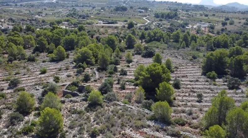 Alicante - Benisa - 33673m2