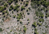 Vil·la amb terreny en venda a la España, Benissa, ref.: TR227074 foto