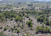 Vil·la amb terreny en venda a la España, Benissa, ref.: TR227074 foto