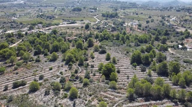 Alicante - Benisa - 33673m2