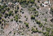 Vil·la amb terreny en venda a la España, Benissa, ref.: TR227074 foto