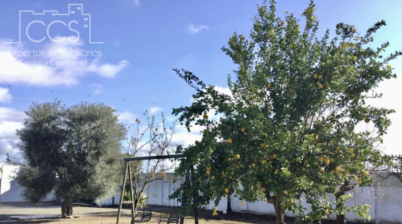 Huelva - Almonte - 5336m2
