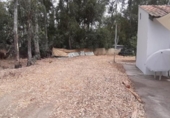 Finca rústica en venda a la España, Sanlúcar de Barrameda, ref.: TR286991 foto