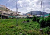 Xalet independent amb terreny en venda a la España, Buenavista del Norte, ref.: TR288362 foto