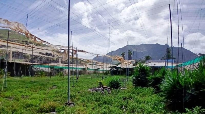 Santa Cruz de Tenerife - Buenavista del Norte - 10488m2