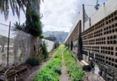 Xalet independent amb terreny en venda a la España, Buenavista del Norte, ref.: TR288362 foto