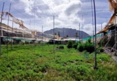 Xalet independent amb terreny en venda a la España, Buenavista del Norte, ref.: TR288362 foto