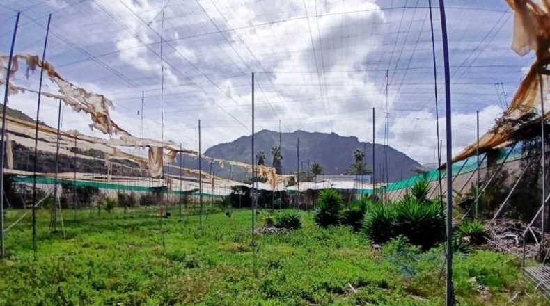 Santa Cruz de Tenerife - Buenavista del Norte - 10488m2