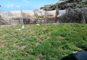 Xalet independent amb terreny en venda a la España, Buenavista del Norte, ref.: TR288362 foto