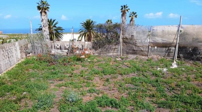 Santa Cruz de Tenerife - Buenavista del Norte - 10488m2