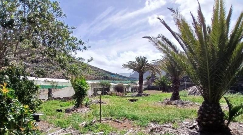 Santa Cruz de Tenerife - Buenavista del Norte - 10488m2