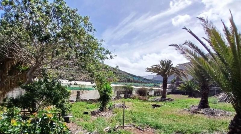 Santa Cruz de Tenerife - Buenavista del Norte - 10488m2