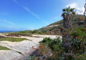 Xalet independent amb terreny en venda a la España, Buenavista del Norte, ref.: TR288362 foto