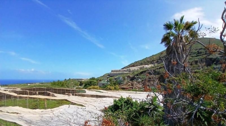Santa Cruz de Tenerife - Buenavista del Norte - 10488m2