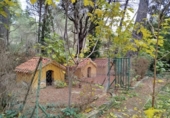 Отдельно стоящий дом с участком на продажу в городе Альбасете Фото