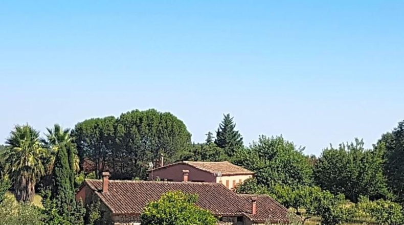 Avila - Candeleda - 45000m2