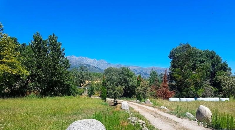 Avila - Candeleda - 45000m2