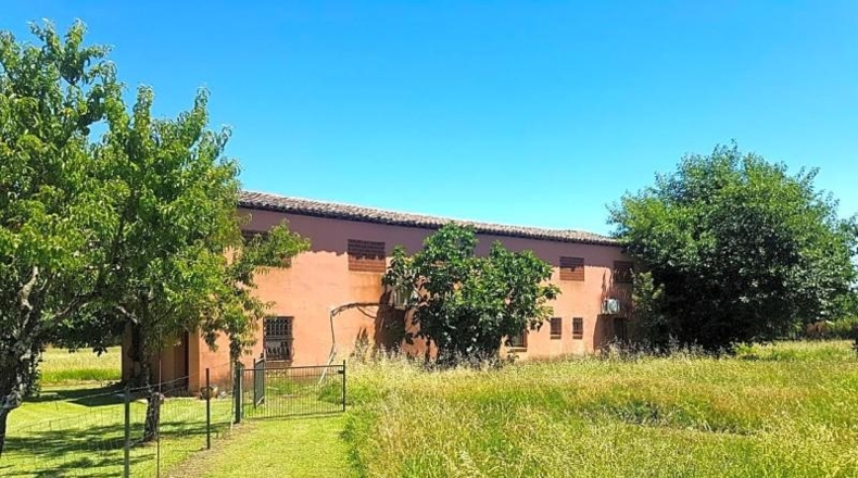 Avila - Candeleda - 45000m2