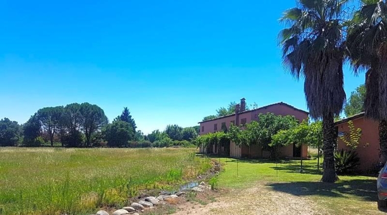 Avila - Candeleda - 45000m2