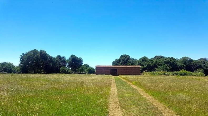 Avila - Candeleda - 45000m2