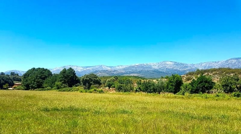 Avila - Candeleda - 45000m2