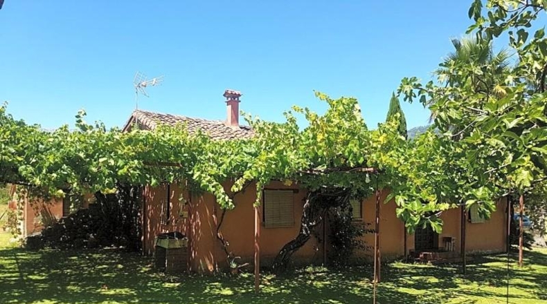Avila - Candeleda - 45000m2