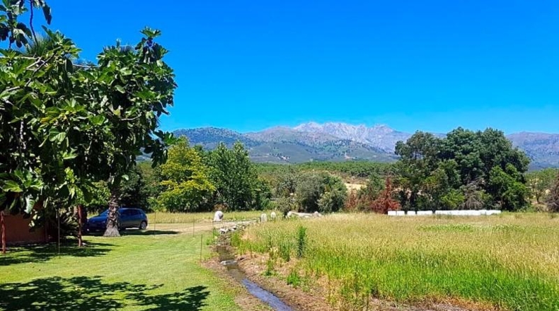 Avila - Candeleda - 45000m2