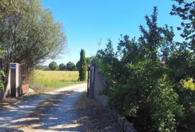 Foto 11