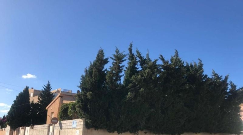 Alicante - Torrevieja - 800m2