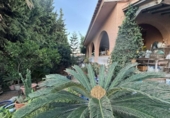 Chalet independiente con terreno en venta en la España, Torrevieja, ref: TR376138 foto