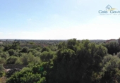 Non-developable land for sale on España, Ses Salines, ref: TR116482 photo