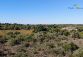 Non-developable land for sale on España, Ses Salines, ref: TR116482 photo