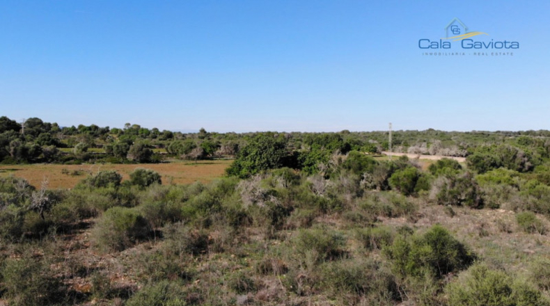 Balearic Islands - Las Salinas - 18000m2