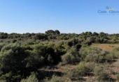 Non-developable land for sale on España, Ses Salines, ref: TR116482 photo