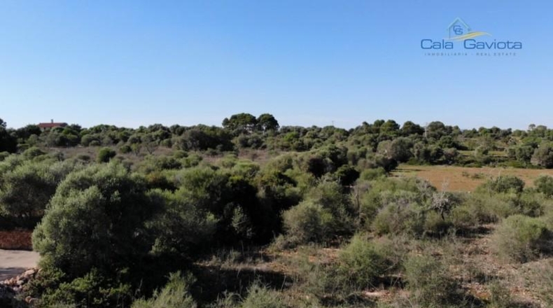 Balearic Islands - Las Salinas - 18000m2