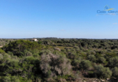 Non-developable land for sale on España, Ses Salines, ref: TR116482 photo