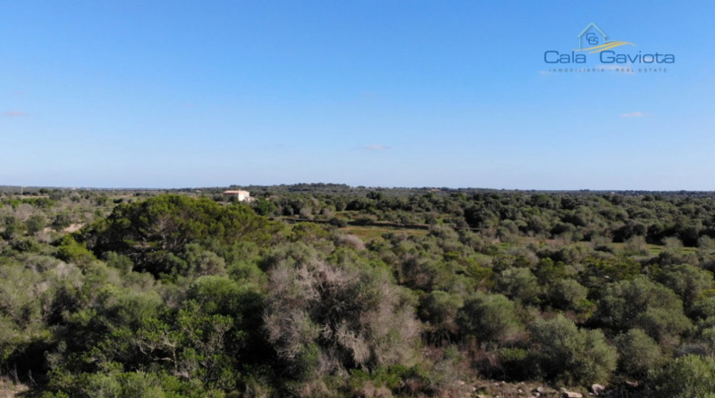 Balearic Islands - Las Salinas - 18000m2