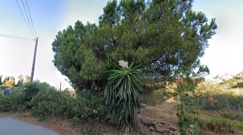 Málaga - Marbella - 902m2