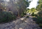 Non-developable land for sale on España, Moraira, ref: TR113644 photo