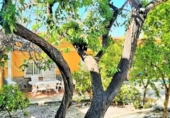 Chalet independiente con terreno en venta en la España, Sant Pere de Ribes, ref: TR134337 foto