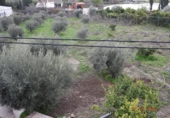 Casa de camp amb terreny en venda a la España, Berja, ref.: TR134353 foto