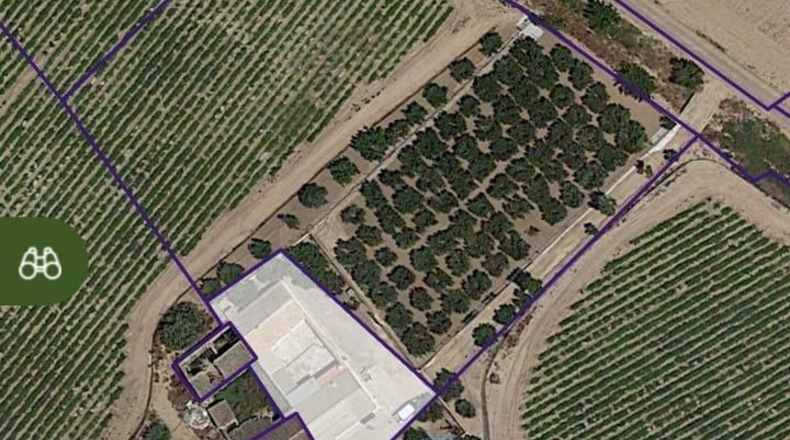 Múrcia - Fuente Álamo de Murcia - 5000m2