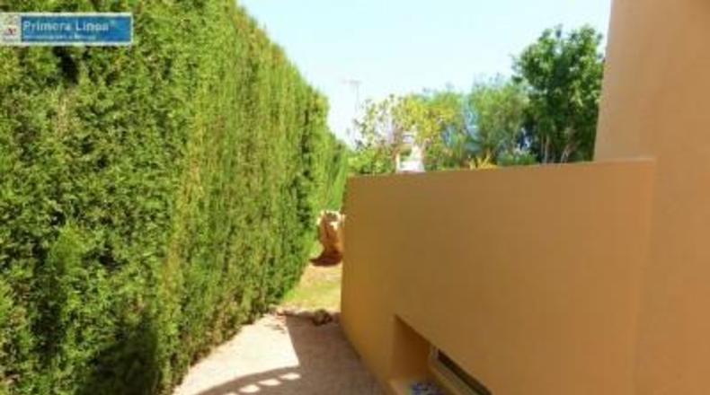 Murcia - Cartagena - 510m2