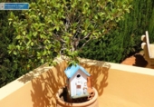 Detached villa with land for sale on España, Cartagena, ref: TR145290 photo
