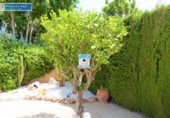 Detached villa with land for sale on España, Cartagena, ref: TR145290 photo