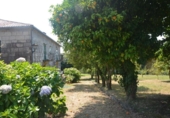 Finca rústica en venda a la España, Padrón, ref.: TR302551 foto